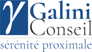 Logo Galini Conseil